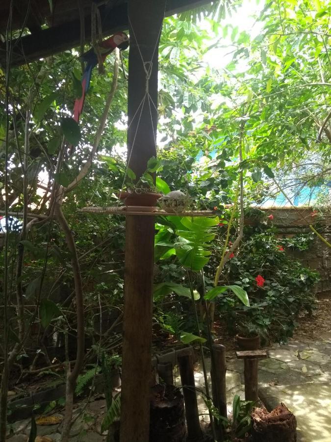 Pousada Recanto Devas Cabo Frio Eksteriør billede